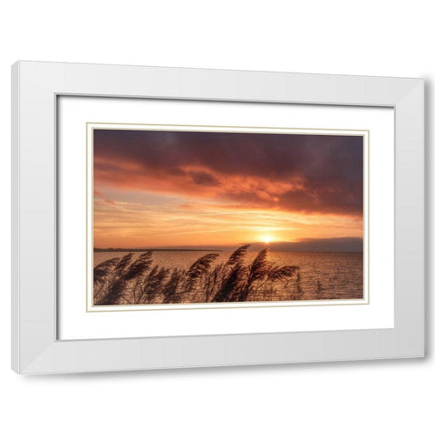 Living Belief White Modern Wood Framed Art Print with Double Matting by DeLuca, Pat