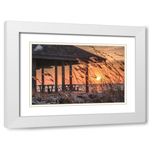 Imminent Loyalty White Modern Wood Framed Art Print with Double Matting by DeLuca, Pat