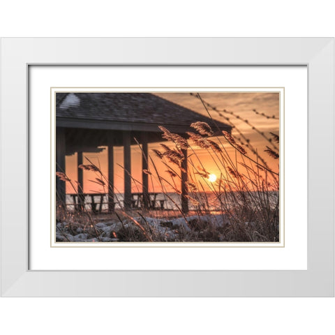 Imminent Loyalty White Modern Wood Framed Art Print with Double Matting by DeLuca, Pat