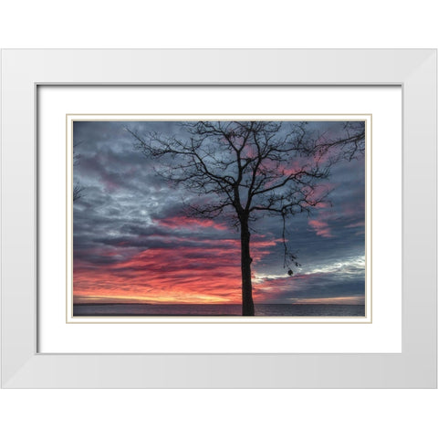 Distorted Solution White Modern Wood Framed Art Print with Double Matting by DeLuca, Pat