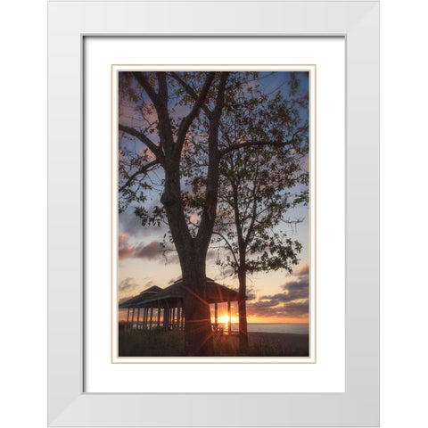 Fragile Shadows White Modern Wood Framed Art Print with Double Matting by DeLuca, Pat