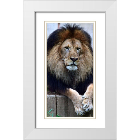 Strength And Dedication White Modern Wood Framed Art Print with Double Matting by DeLuca, Pat