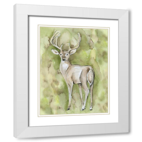 Sterling Deer White Modern Wood Framed Art Print with Double Matting by Varacek, Pam