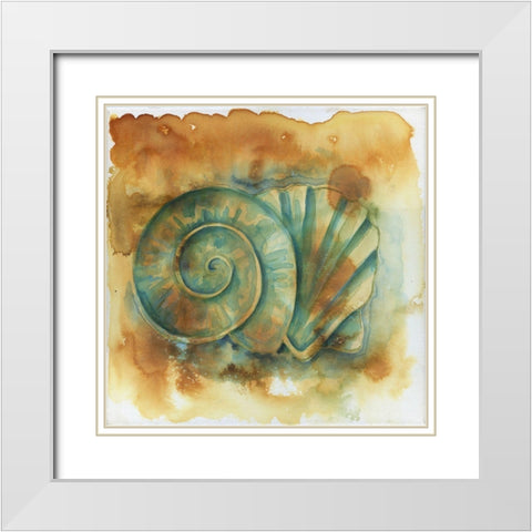Muddy Shells White Modern Wood Framed Art Print with Double Matting by Varacek, Pam