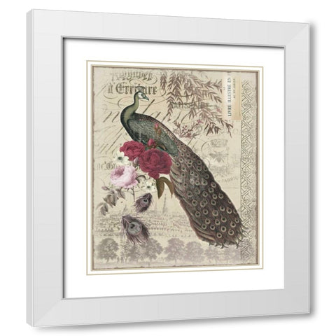 New Peacock 1 White Modern Wood Framed Art Print with Double Matting by Allen, Candace