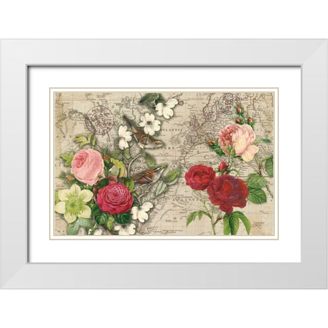 Atlas Bird Garden White Modern Wood Framed Art Print with Double Matting by Allen, Candace