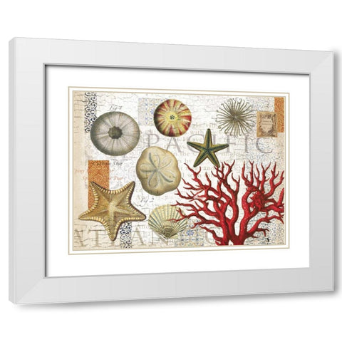 Sea Treasures White Modern Wood Framed Art Print with Double Matting by Allen, Candace