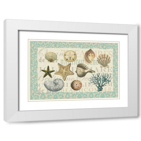 Sea Shell Collection White Modern Wood Framed Art Print with Double Matting by Allen, Candace