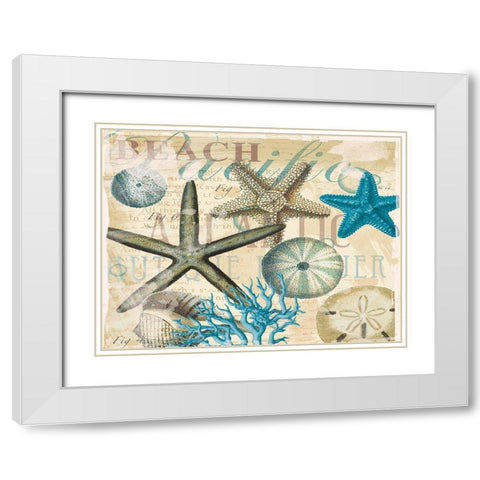 Beach Shells R1 White Modern Wood Framed Art Print with Double Matting by Allen, Candace