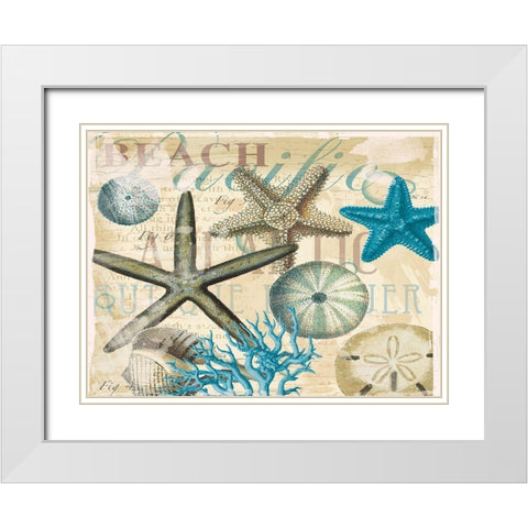 Beach Shells R1 White Modern Wood Framed Art Print with Double Matting by Allen, Candace