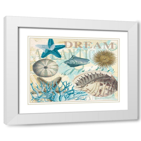 Dream Shells R1 White Modern Wood Framed Art Print with Double Matting by Allen, Candace