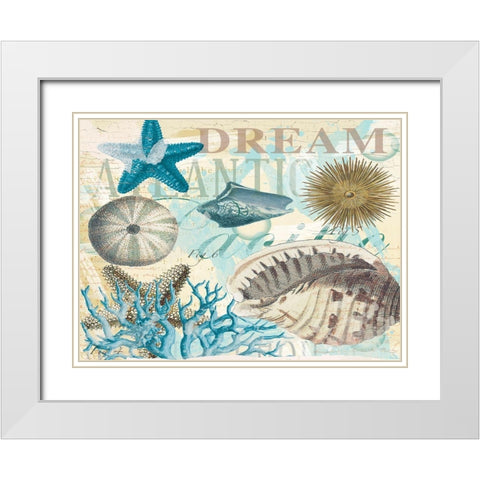 Dream Shells R1 White Modern Wood Framed Art Print with Double Matting by Allen, Candace