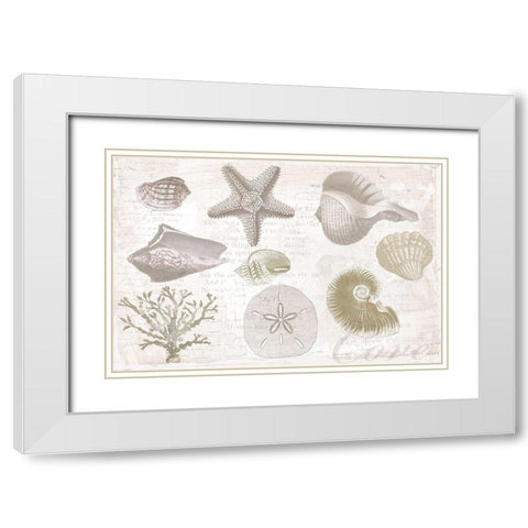 Soft Shell Collage White Modern Wood Framed Art Print with Double Matting by Lula Bijoux and Company