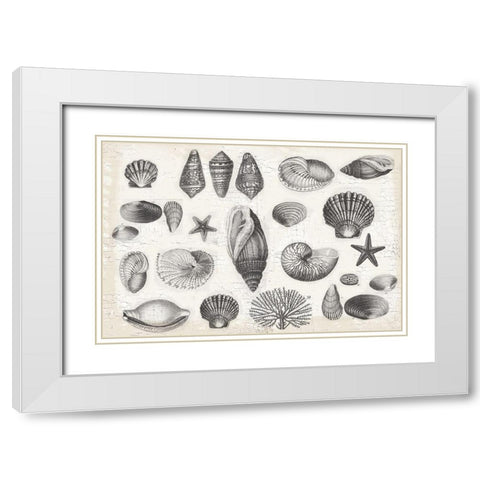 Shell Collage White Modern Wood Framed Art Print with Double Matting by Lula Bijoux and Company