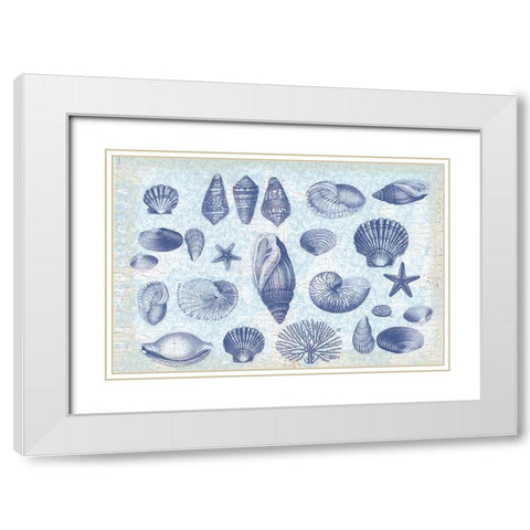 Casual Coastal Shells White Modern Wood Framed Art Print with Double Matting by Lula Bijoux and Company