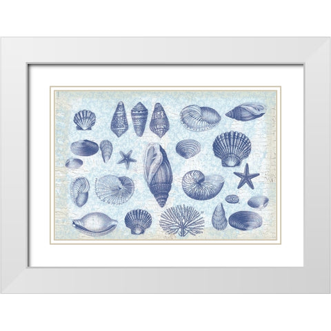 Casual Coastal Shells White Modern Wood Framed Art Print with Double Matting by Lula Bijoux and Company