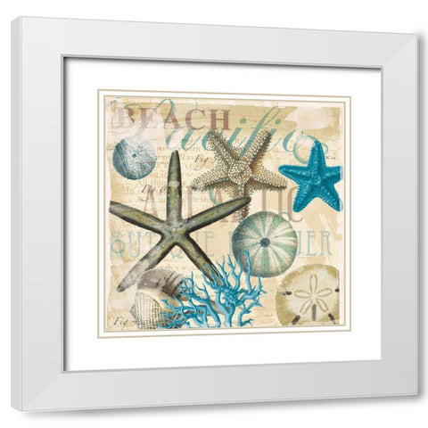 Beach Shells R1 White Modern Wood Framed Art Print with Double Matting by Allen, Candace