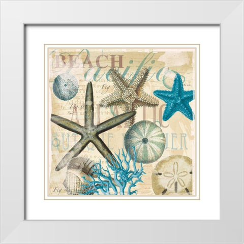 Beach Shells R1 White Modern Wood Framed Art Print with Double Matting by Allen, Candace