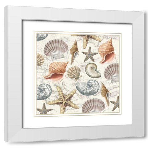 By The Sea Shells 2 White Modern Wood Framed Art Print with Double Matting by Allen, Candace