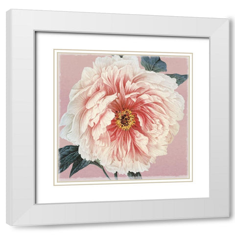 Spring Eden Peony White Modern Wood Framed Art Print with Double Matting by Lula Bijoux and Company