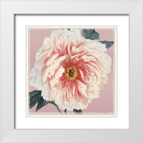 Spring Eden Peony White Modern Wood Framed Art Print with Double Matting by Lula Bijoux and Company
