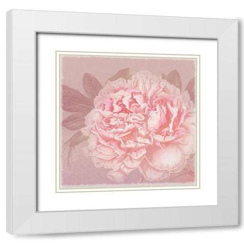 Spring Eden Peony 2 White Modern Wood Framed Art Print with Double Matting by Lula Bijoux and Company