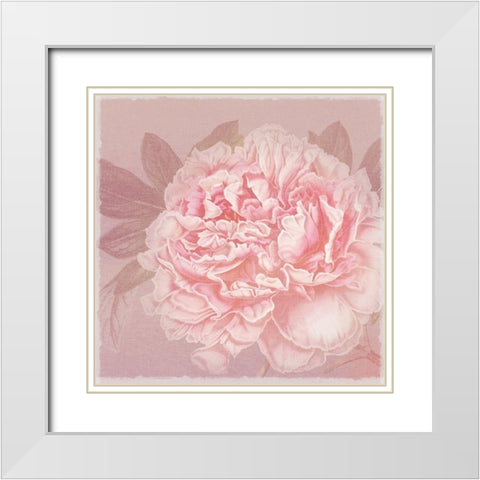 Spring Eden Peony 2 White Modern Wood Framed Art Print with Double Matting by Lula Bijoux and Company