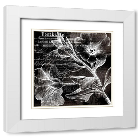 White Trumpet Flowers White Modern Wood Framed Art Print with Double Matting by Lula Bijoux and Company