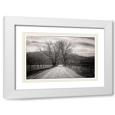 Less Traveled White Modern Wood Framed Art Print with Double Matting by Taylor, Glenn