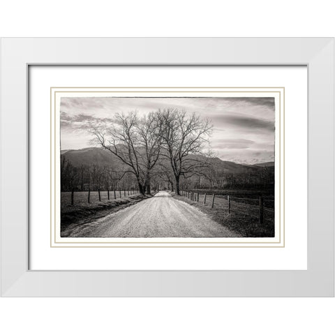 Less Traveled White Modern Wood Framed Art Print with Double Matting by Taylor, Glenn