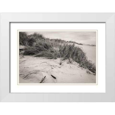 Beachy Dunes White Modern Wood Framed Art Print with Double Matting by Taylor, Glenn