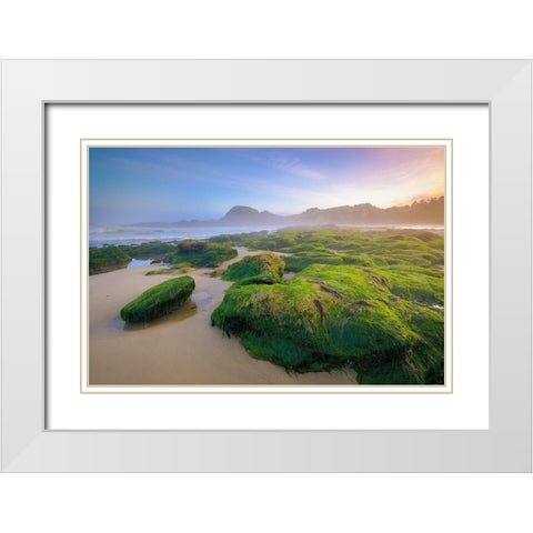 Green Rocks White Modern Wood Framed Art Print with Double Matting by Taylor, Glenn