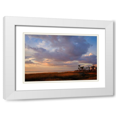Marsh View White Modern Wood Framed Art Print with Double Matting by Taylor, Glenn