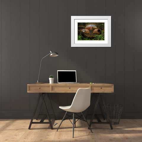 Old Bessy 1 White Modern Wood Framed Art Print with Double Matting by Taylor, Glenn