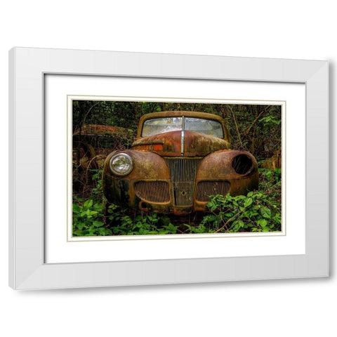 Old Bessy 1 White Modern Wood Framed Art Print with Double Matting by Taylor, Glenn