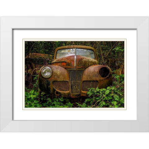 Old Bessy 1 White Modern Wood Framed Art Print with Double Matting by Taylor, Glenn