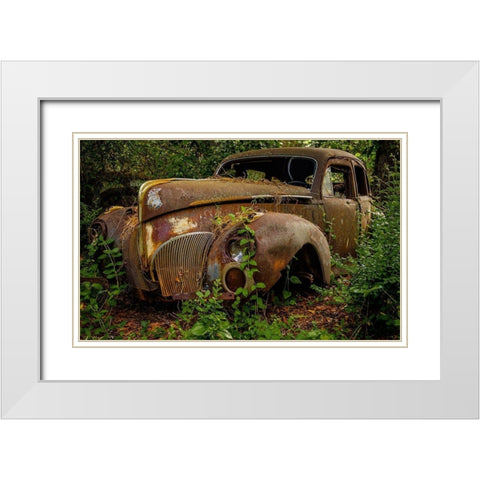 Old Bessy 2 White Modern Wood Framed Art Print with Double Matting by Taylor, Glenn