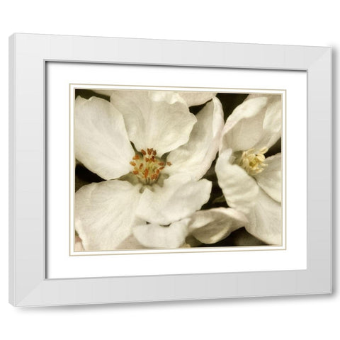 Blossoms I White Modern Wood Framed Art Print with Double Matting by Poinski, Dianne