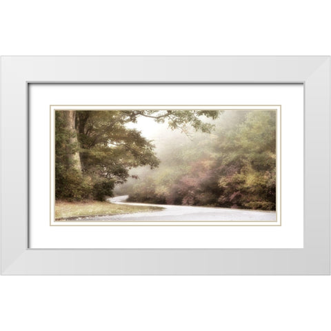 Blue Ridge Parkway White Modern Wood Framed Art Print with Double Matting by Poinski, Dianne