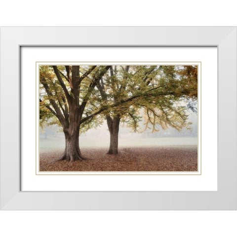 Park 1A White Modern Wood Framed Art Print with Double Matting by Poinski, Dianne