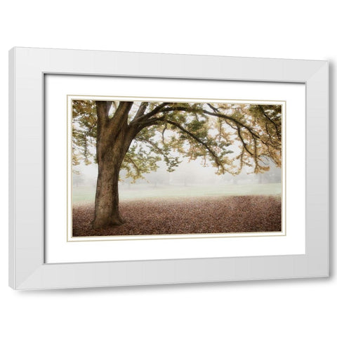 Park 1 White Modern Wood Framed Art Print with Double Matting by Poinski, Dianne