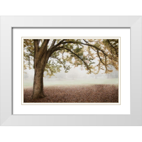 Park 1 White Modern Wood Framed Art Print with Double Matting by Poinski, Dianne