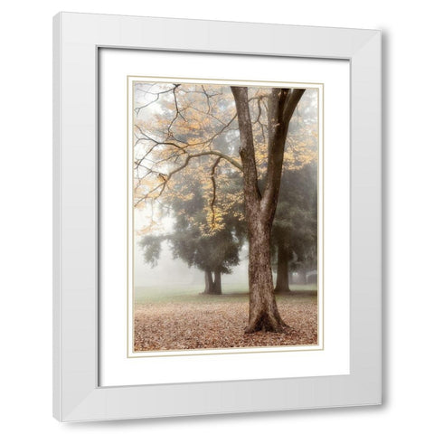 Park 3 White Modern Wood Framed Art Print with Double Matting by Poinski, Dianne