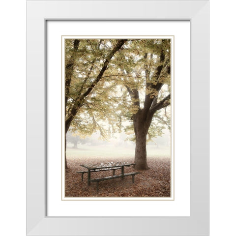 Park 4 White Modern Wood Framed Art Print with Double Matting by Poinski, Dianne