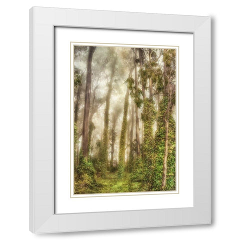 Presidio I White Modern Wood Framed Art Print with Double Matting by Poinski, Dianne
