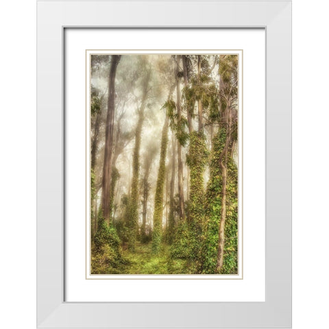 Presidio I White Modern Wood Framed Art Print with Double Matting by Poinski, Dianne