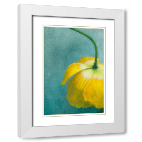 Poppy 1 White Modern Wood Framed Art Print with Double Matting by Poinski, Dianne