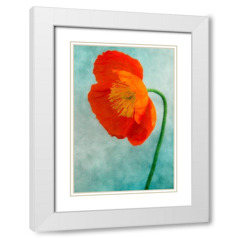 Poppy 3 White Modern Wood Framed Art Print with Double Matting by Poinski, Dianne