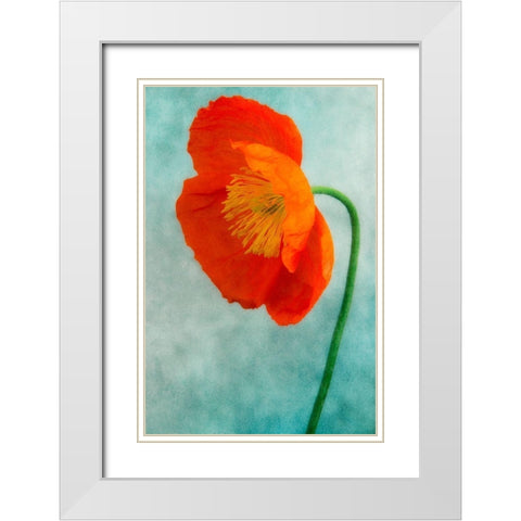 Poppy 3 White Modern Wood Framed Art Print with Double Matting by Poinski, Dianne