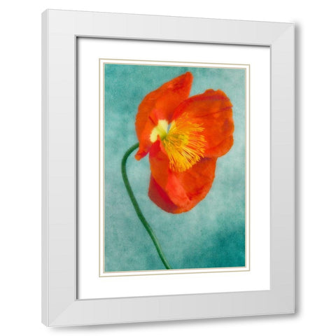 Poppy 4 White Modern Wood Framed Art Print with Double Matting by Poinski, Dianne
